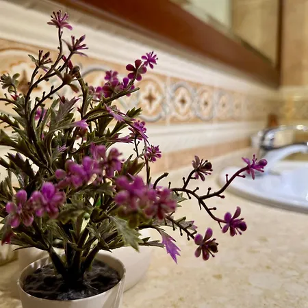 Apartment El Rincon De Naclau *